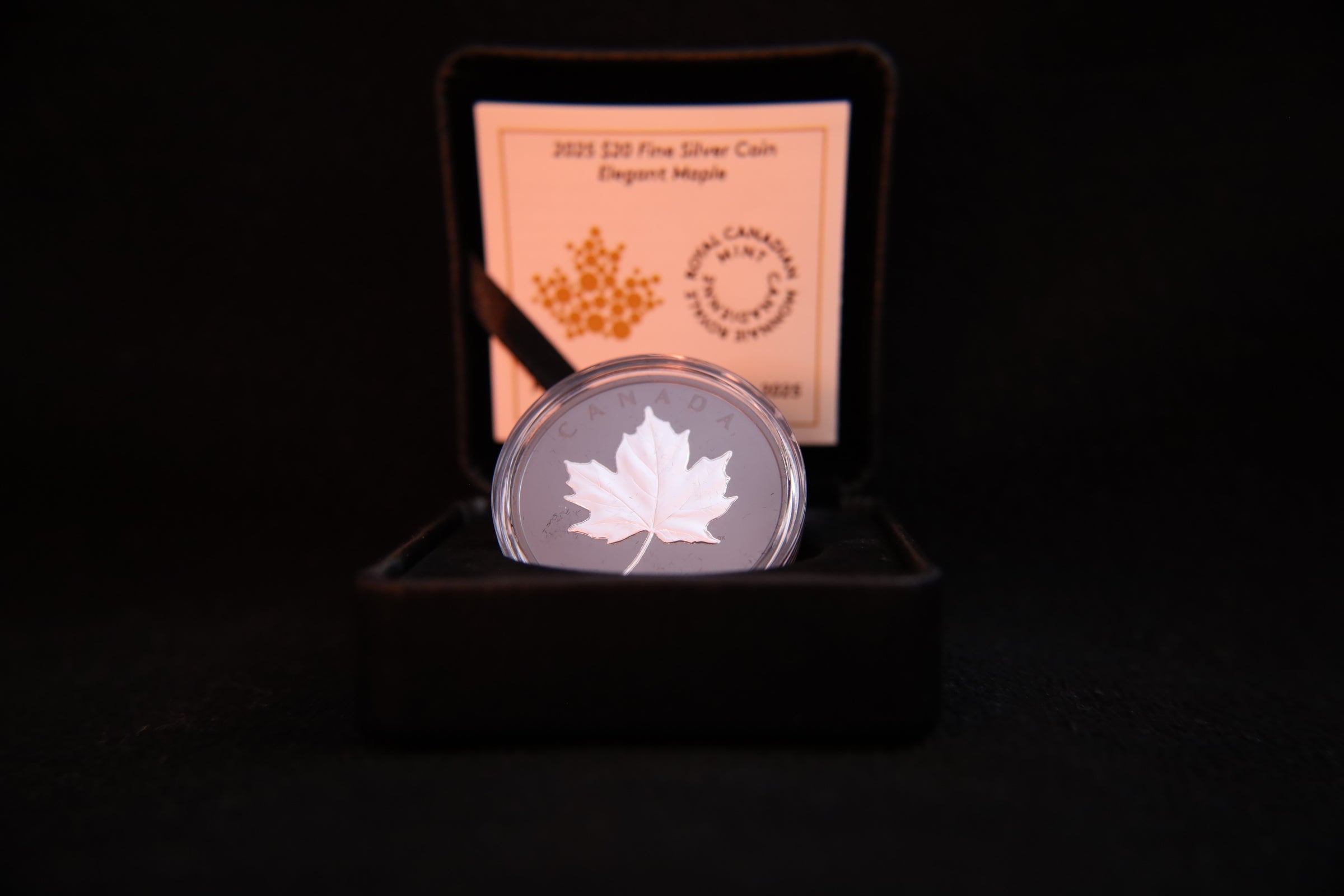 1 oz Silber Maple Leaf 2025 – Rhodium Veredelung (Kanada | Auflage: 7.000)