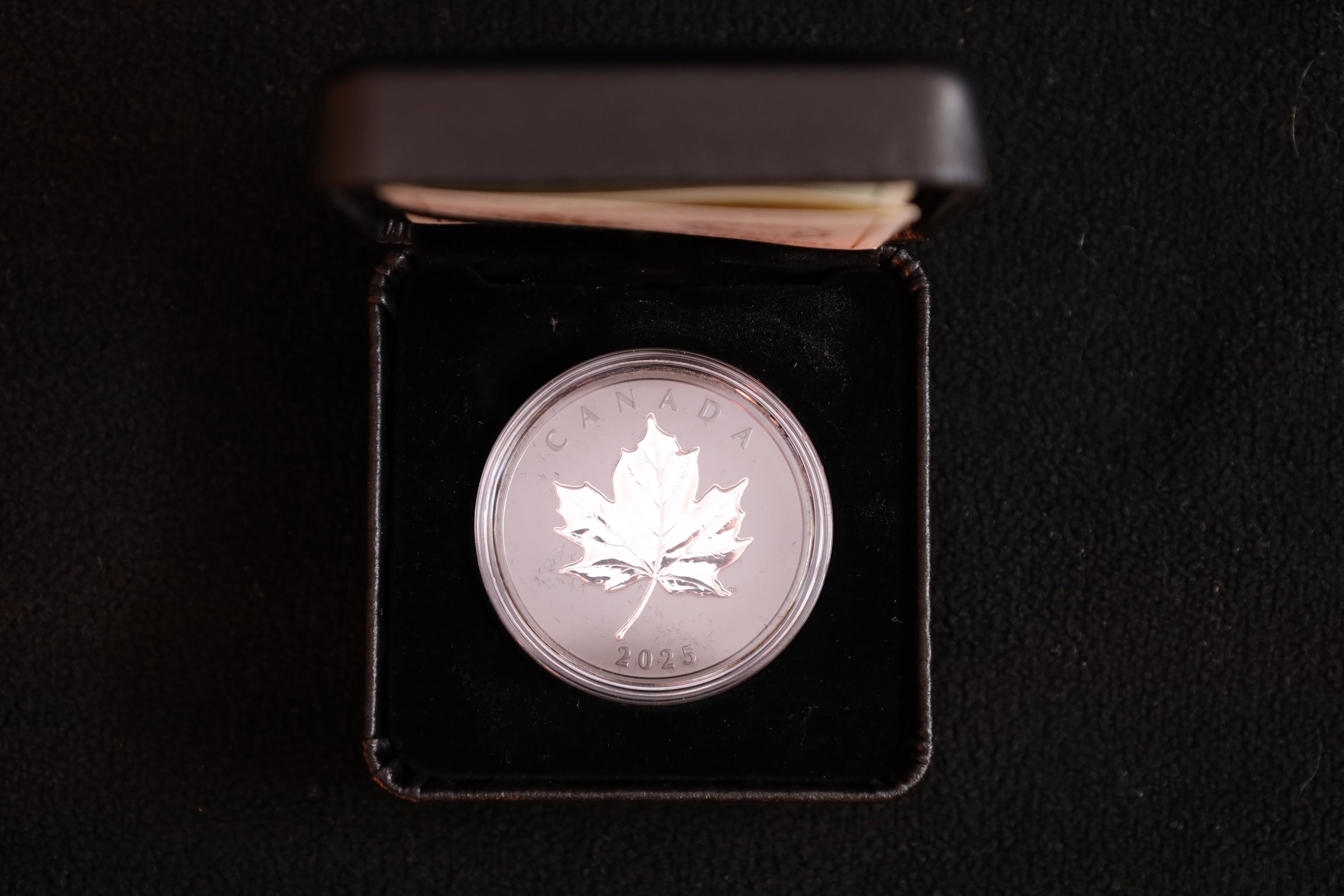 1 oz Silber Maple Leaf 2025 – Rhodium Veredelung (Kanada | Auflage: 7.000)